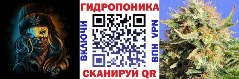 Купить наркотик аптеки Шадринск ОМГ ОМГ рабочий сайт  Амфетамин  Бошки Шишки  ГАШИШ  Псилоцибиновые грибы  A-PVP  COCAIN 