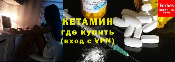 твердый Шали