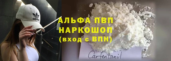 СК Арсеньев