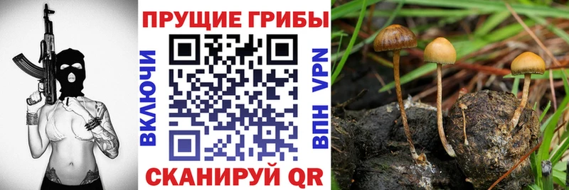 Псилоцибиновые грибы GOLDEN TEACHER где найти kraken ONION Шадринск